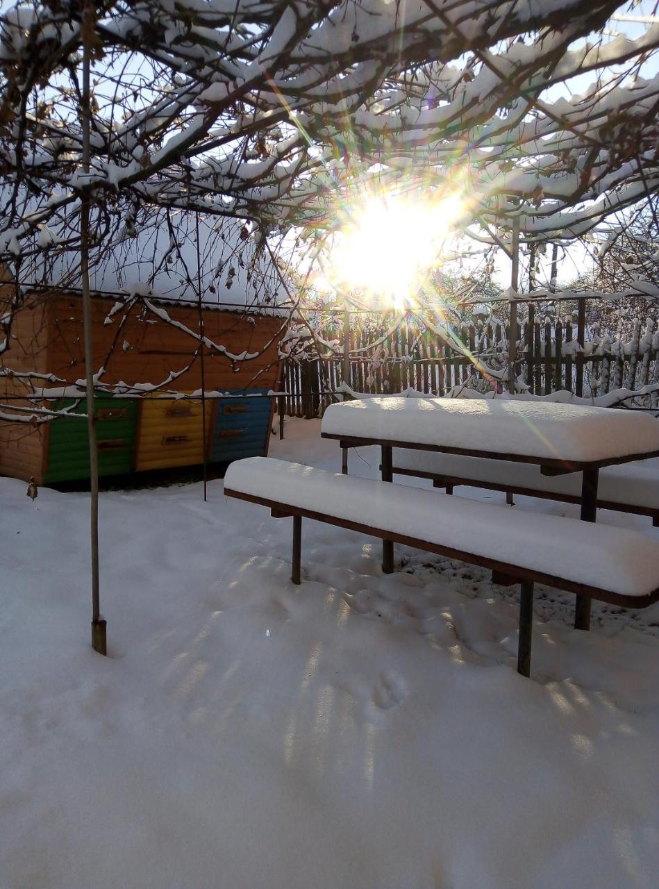 "У Пасічника" Котедж Для Сім'Ї Yaremche Exterior photo